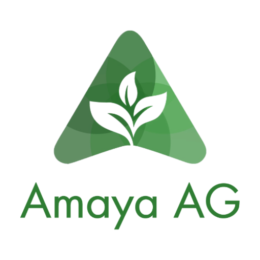 Amaya AG